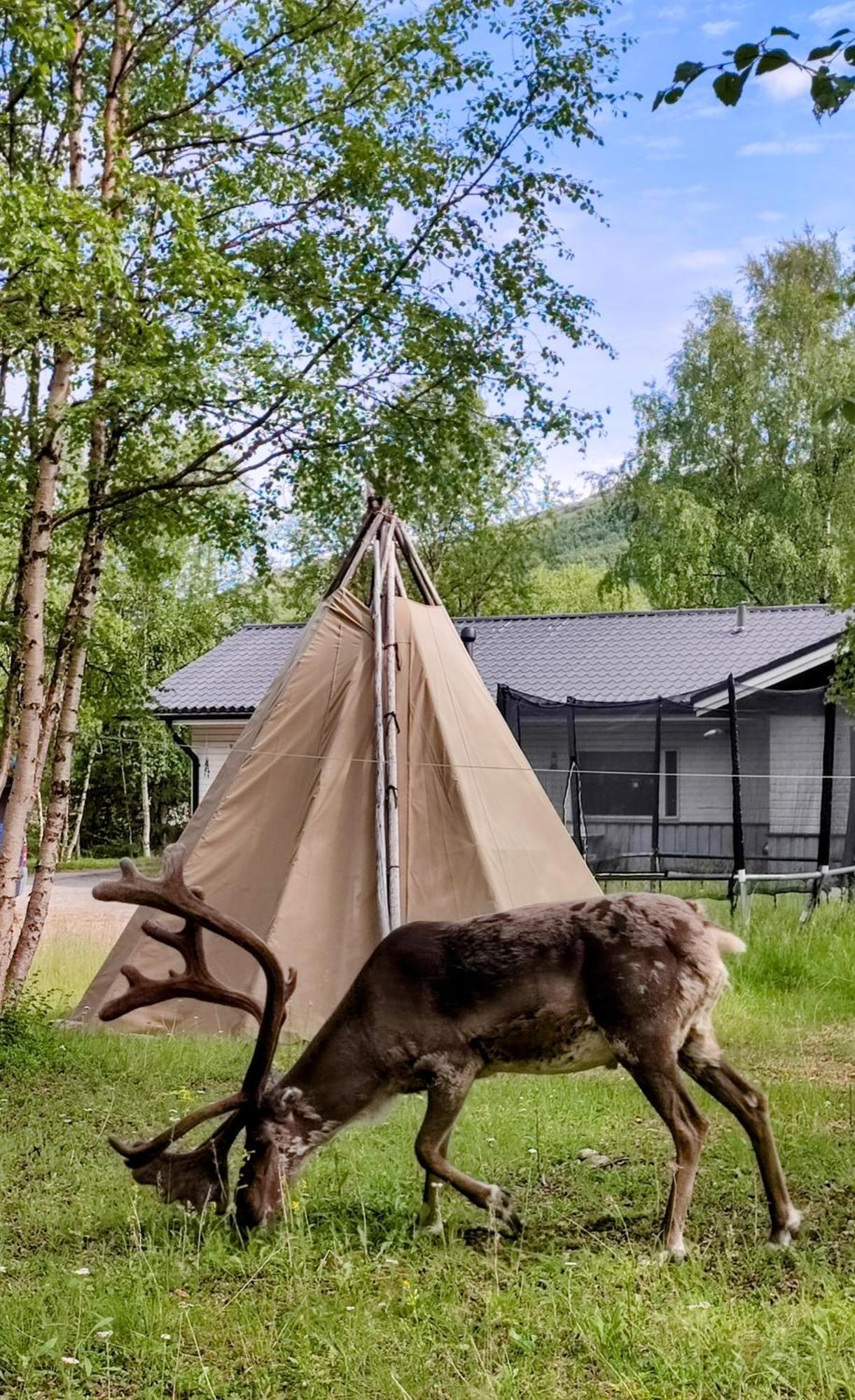 Maggala Apartments Utsjoki Extérieur photo
